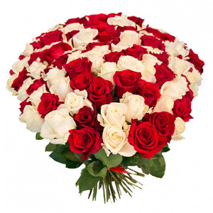 "101 роза, красные и белые". Букет роз, 101-151 шт